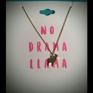 🔴No Drama Llama necklace